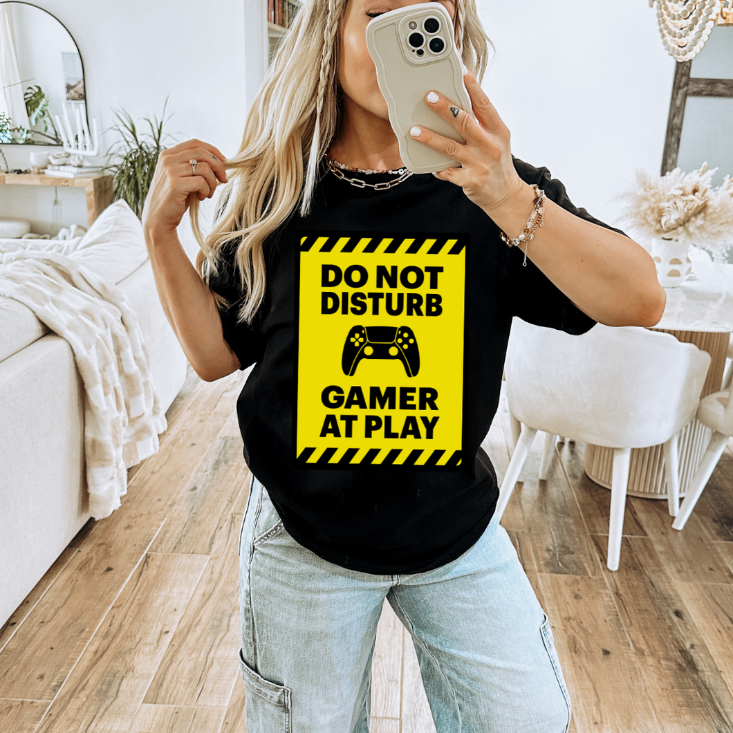 Gamer At Play