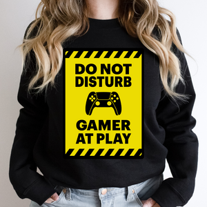 Gamer At Play